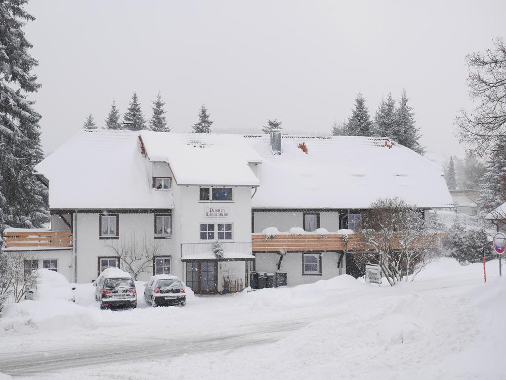Pension Tannenheim Schluchsee Exteriér fotografie