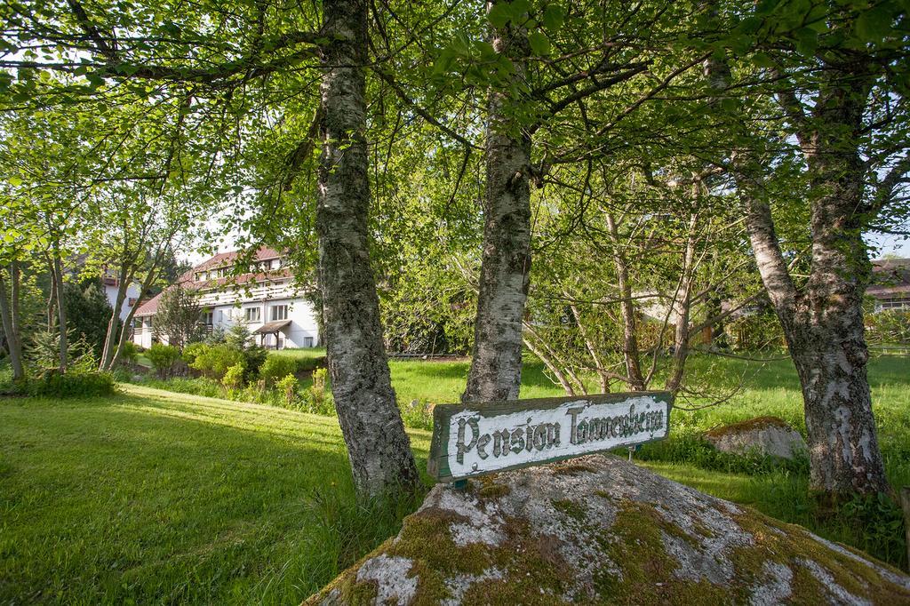 Pension Tannenheim Schluchsee Exteriér fotografie