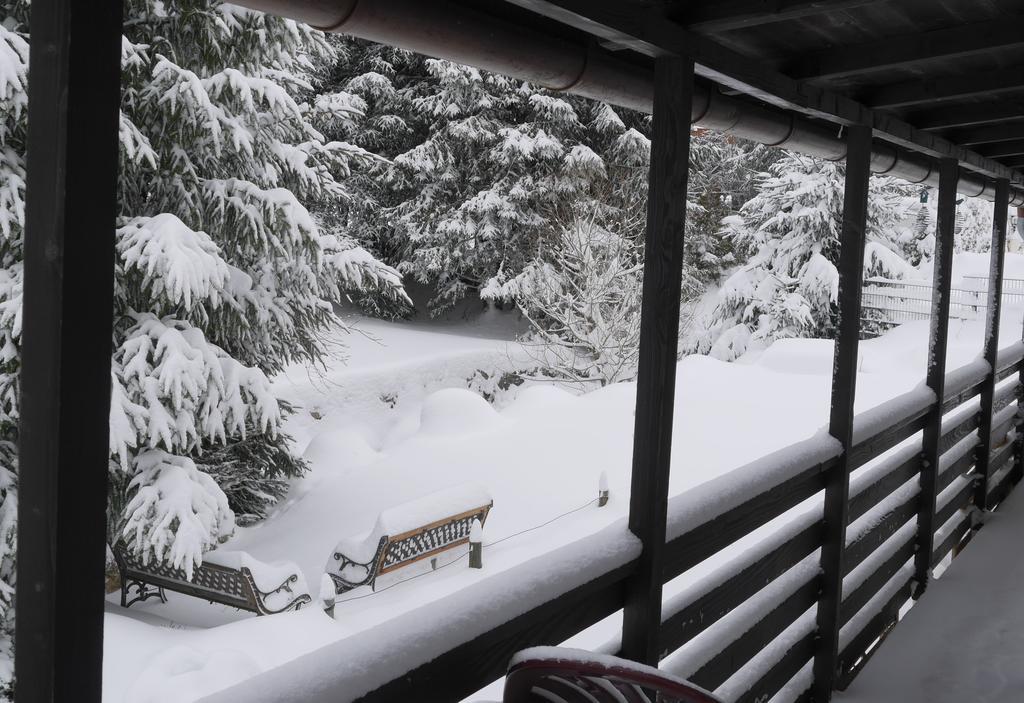 Pension Tannenheim Schluchsee Exteriér fotografie