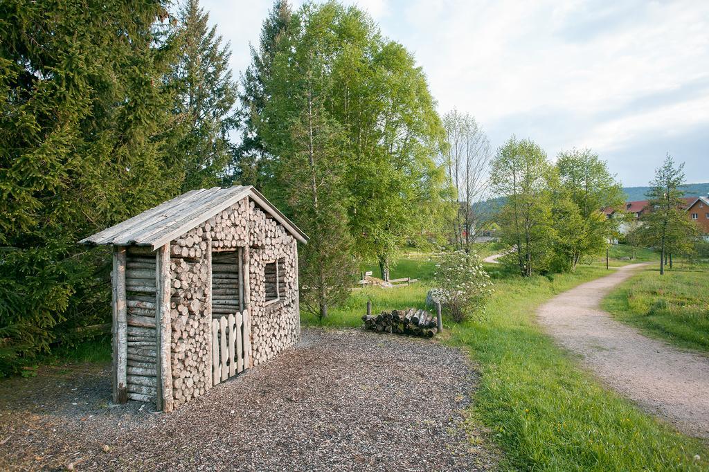 Pension Tannenheim Schluchsee Exteriér fotografie