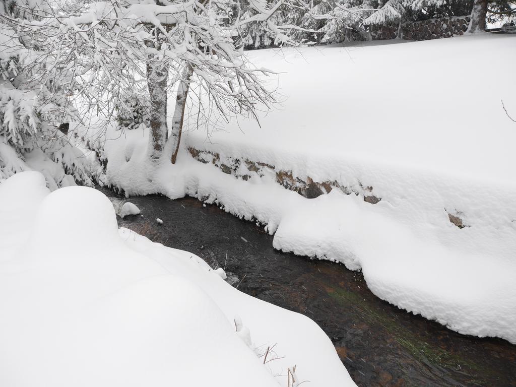 Pension Tannenheim Schluchsee Exteriér fotografie