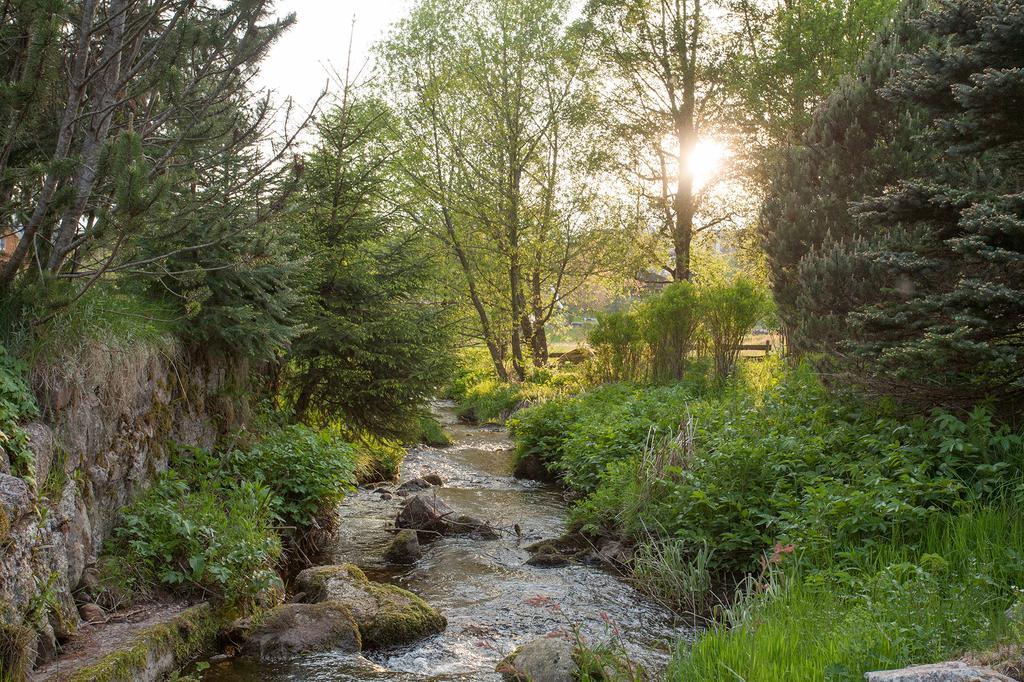Pension Tannenheim Schluchsee Exteriér fotografie
