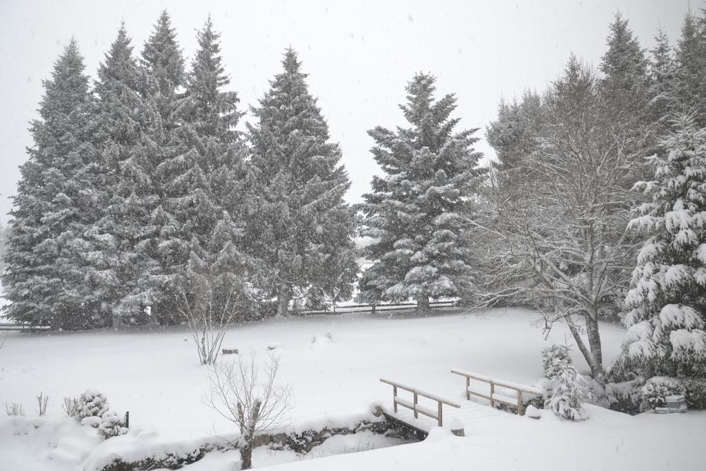 Pension Tannenheim Schluchsee Exteriér fotografie