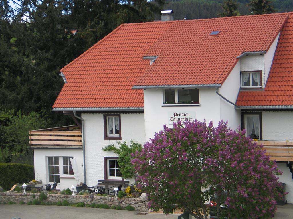 Pension Tannenheim Schluchsee Exteriér fotografie