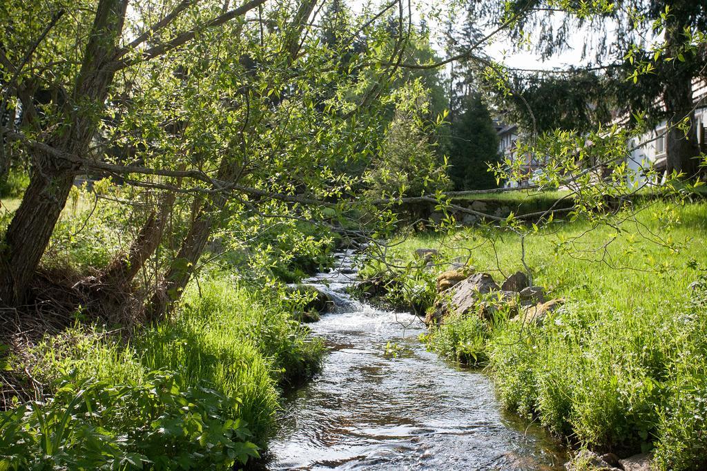 Pension Tannenheim Schluchsee Exteriér fotografie